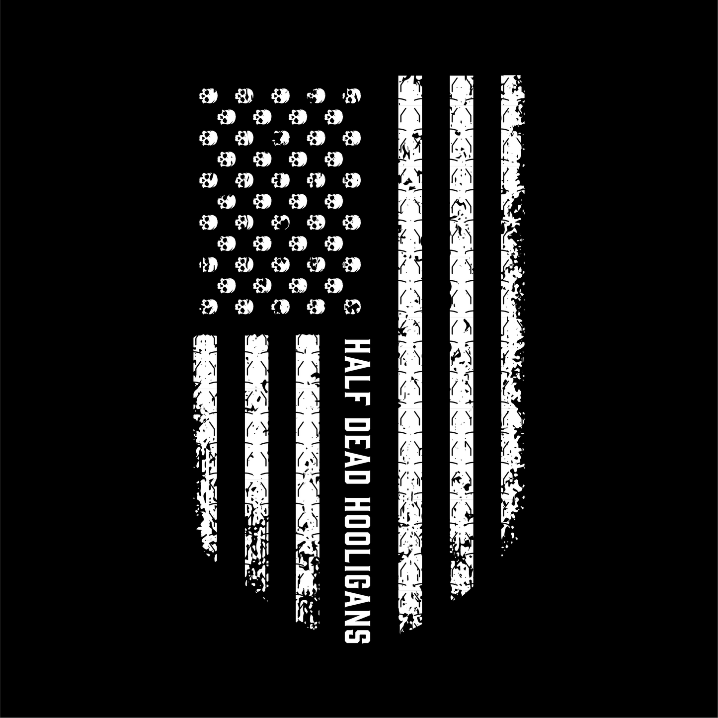 American Flag HDG
